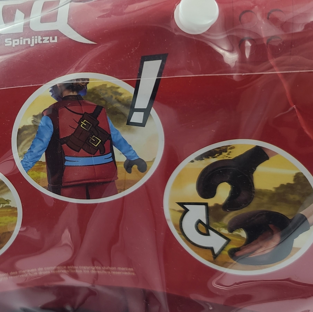 Lego Ninjago Costume - Picture 3 of 5